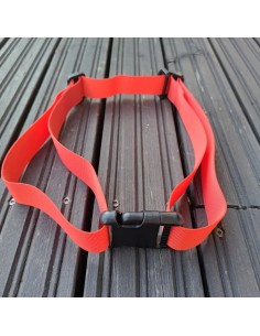 Cintura di Estensione e Cintura di Sicurezza