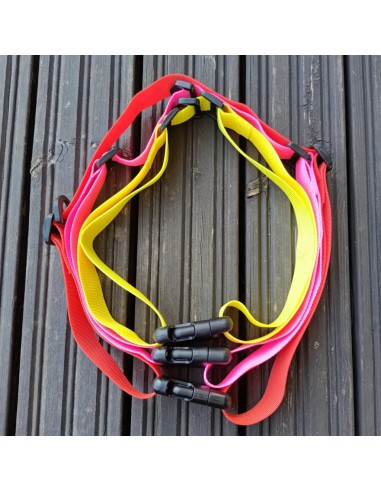 Cintura di Estensione e Cintura di Sicurezza