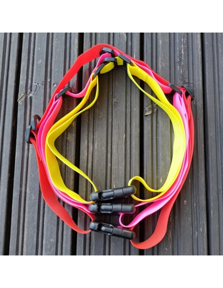 Cintura di Estensione e Cintura di Sicurezza