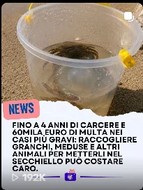 Tutela del mare